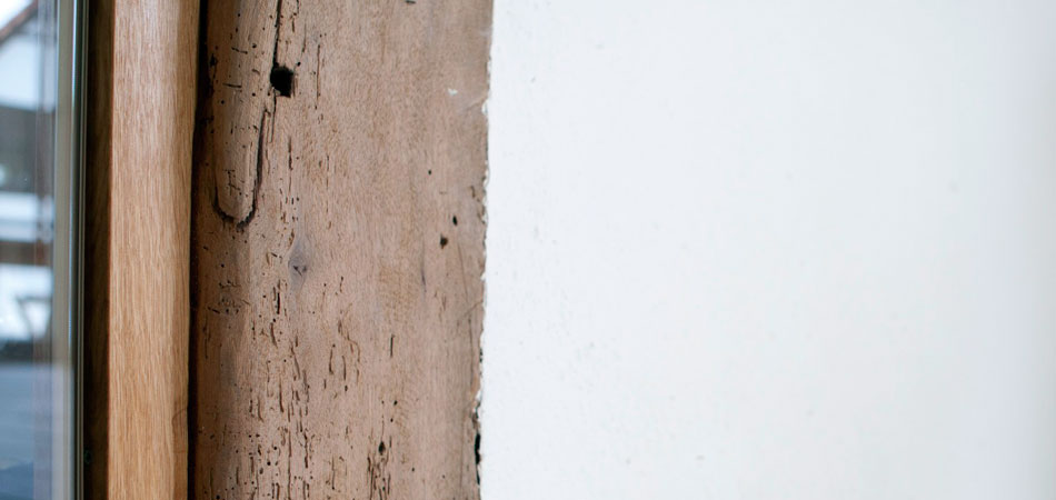 Slideshow Image 5